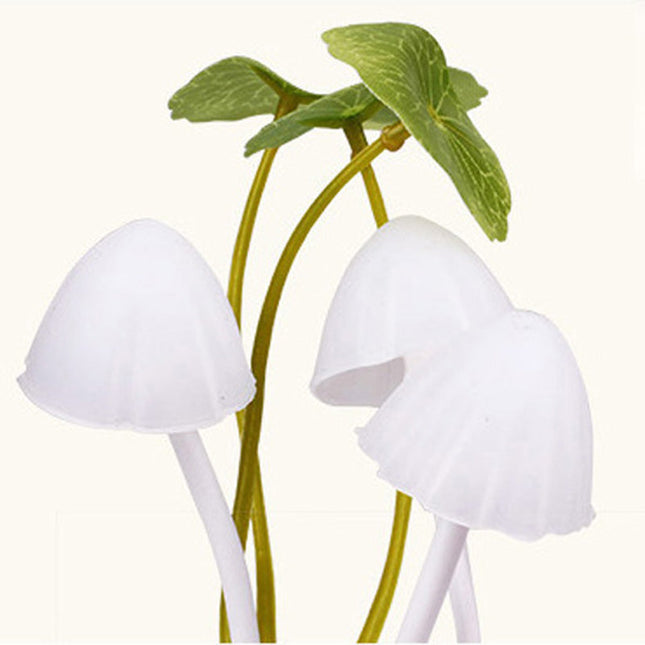 Bunte Pilz Nachtlicht Lampe für Steckdose