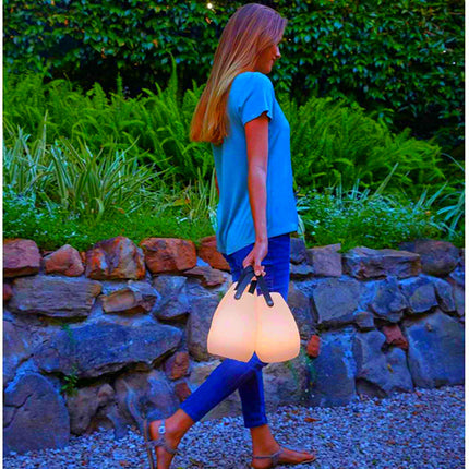 Tragbare LED Laterne in Eiform USB