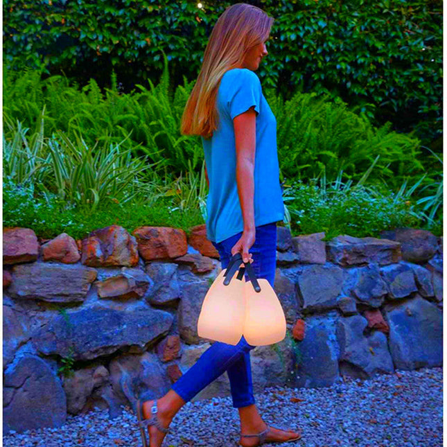 Tragbare LED Laterne in Eiform USB