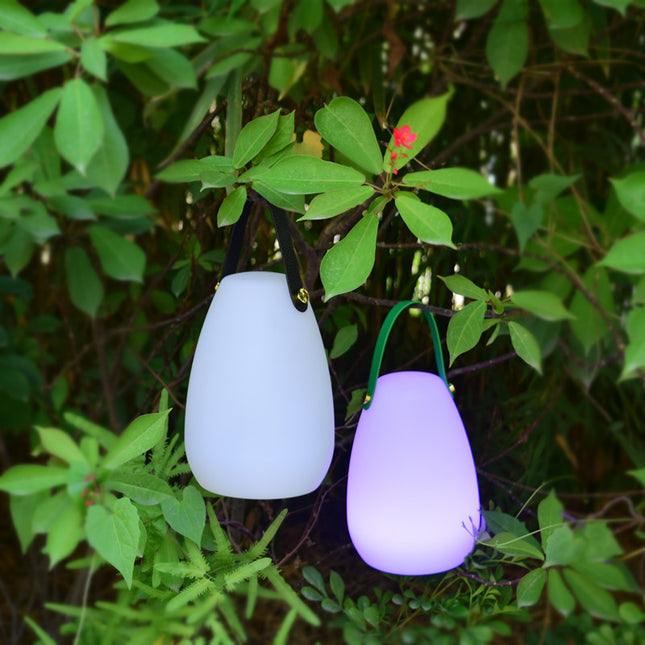 Tragbare LED Laterne in Eiform USB