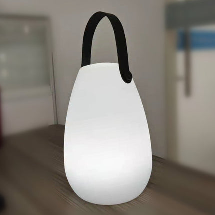 Tragbare LED Laterne in Eiform USB
