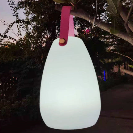 Tragbare LED Laterne in Eiform USB